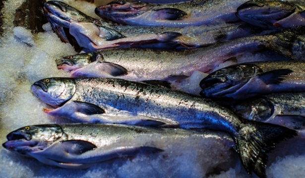 Почему в белорусских магазинах начала пропадать замороженная и охлажденная рыба? В «Виталюре» объяснили