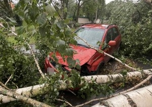 Ураганный ветер, бушевавший в Пинске, наворотил дел