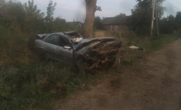 В Ляховичском районе легковушка врезалась в дерево - погибла несовершеннолетняя девушка
