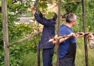 Жители Пинского района спасают попавших в беду аистов