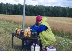 «Накапливает радионуклиды в два-три раза больше, чем малина или земляника». Почему покупать чернику у дорог и с рук опасно?