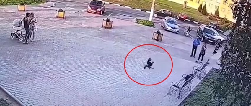 В Могилевской области парня, который похитил у женщины деньги, обокрала… ворона. Видеофакт 