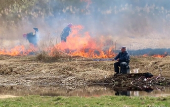 В Слуцке рыбак продолжал невозмутимо ловить рыбу пока за спиной бушевало пламя. Видеофакт