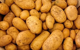 Какой в Беларуси штраф за самовольно выкопанную картошку в колхозном поле?