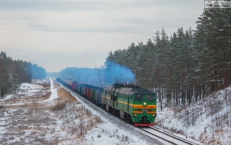 В Березовском районе поезд, который ехал на Барановичи, протаранил стадо лосей 