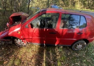 Водитель уснул и врезался в дерево под Барановичами