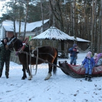 Агроусадьба "Дворик"