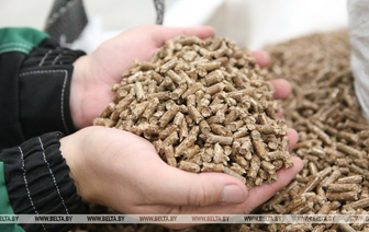 Барановичский лесхоз построит завод по производству пеллетных гранул