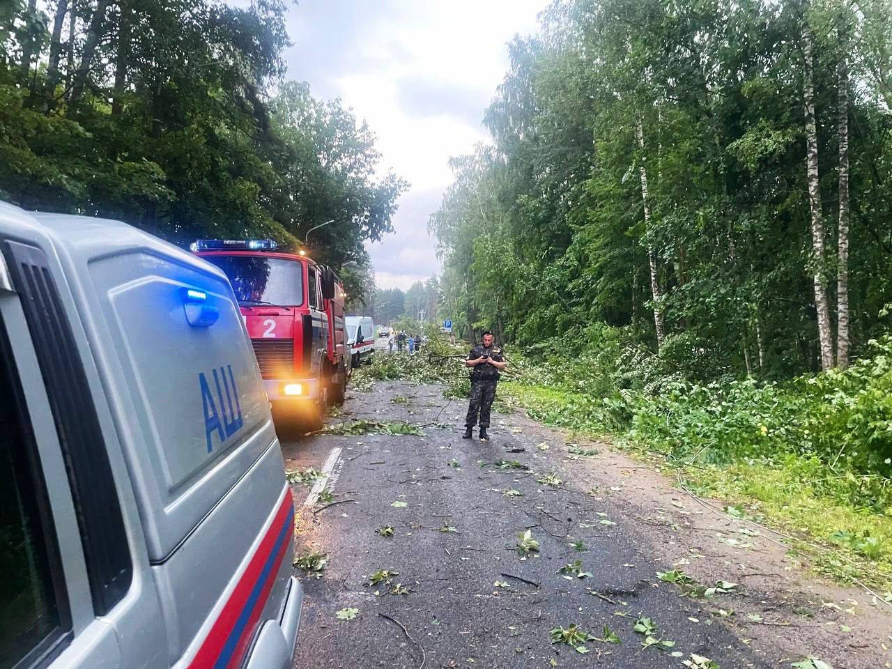 Торнадо минске. Упавшее дерево на дороге. Ураган в Беларуси.